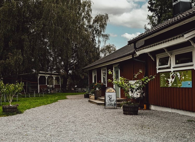 Campa hos Väddö Gårdsmejeri